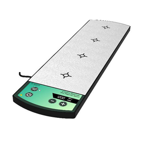 ����������,������,������������