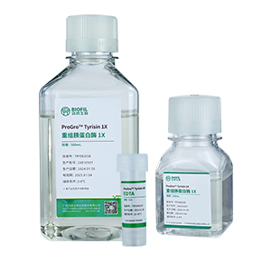 �������Ѱ�ø,������ø,���Ѱ�ø,��ø