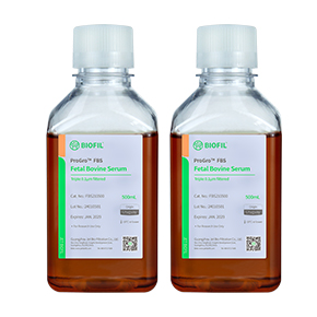 ̥ţѪ��,���̥ţѪ��,Ѫ��