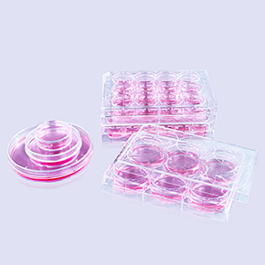 ���-D-�����������ò��Ʒ,���-D-���������,Coating,poly-D-lysine,PDL