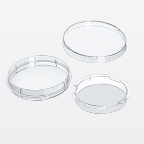 100mmϸ��Ƕ����,ϸ��С��,transwell