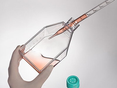 б����ƣ������������������㵹�������������������� Һ�ܺ�ϸ���ε�����֧