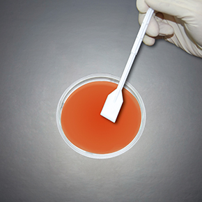 ϸ������,ϸ����,ϸ���ε��͹ΰ�,Cell Lifters