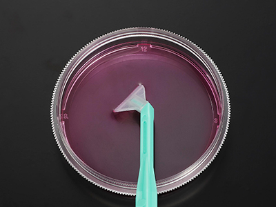 ��������ת��Ƭ���������������ܹ�ȡ�������䣬�������������ջ�ϸ��