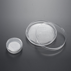 CellSCAFLD?3Dϸ������֧��,��״���3Dϸ������