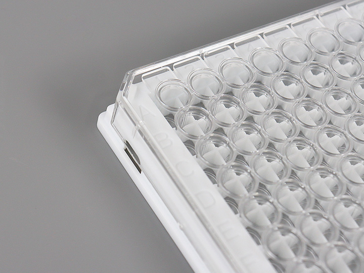 ��ҳ720��540 ����.jpg