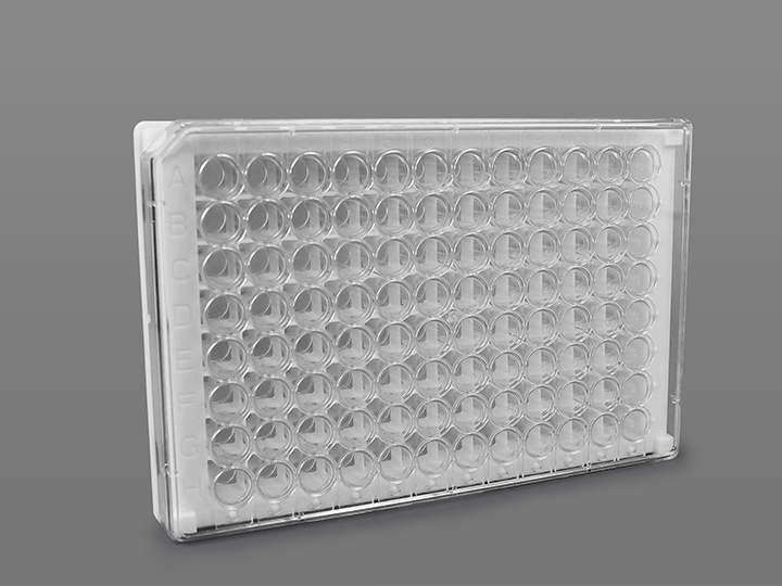 ��ҳ720��540 ����1.jpg