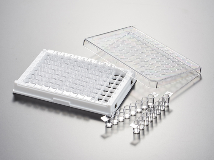 ��ҳ720��540 ����2.jpg