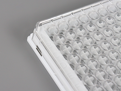 ��������ĸ���ֱ��������������������������ʶ�����������������������¼