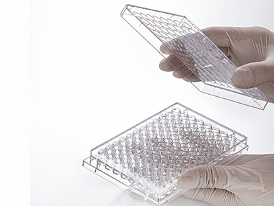 ����ĵ���������������������������ʶ������������������ȷ������һ����