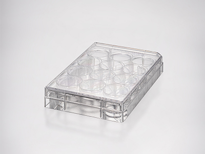 ���ƽ�����׾���ϸһ�����������������������ȳơ�͸������������������������΢���Ӳ�