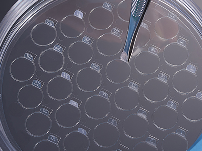 ϸ����Ƭ����һ���Ƕ����𣬣������������������ֱ�Ӽ�ȡ