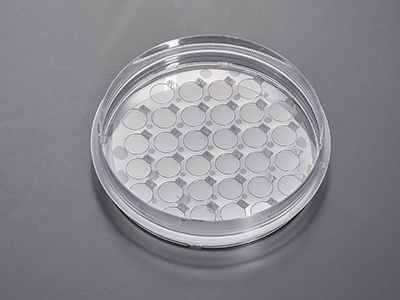 ����ϸ���������Ʊ����ֲ��ʵ��ͼ��Ŀ�ĵ�ϸ����Ƭ�������������������Ч��