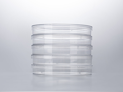 ������������͹���������������������ܵ����ȹ�����������