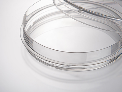 ����ʽ���ճݻ�����������������ȷ���徲��ȡ���������������