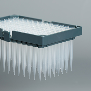 �Զ�����ͷ,tipͷ,ǹͷ