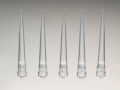 ��ͷ����òƽ��������������ֱ�Ⱥ������������������Ͳ���