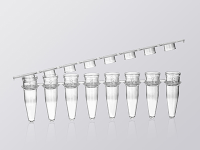 �ܸ������ƥ������������������������ �ܷ��Ը�