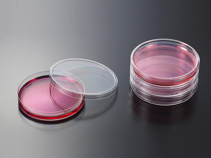 ��ҳ720��540 ����1.jpg