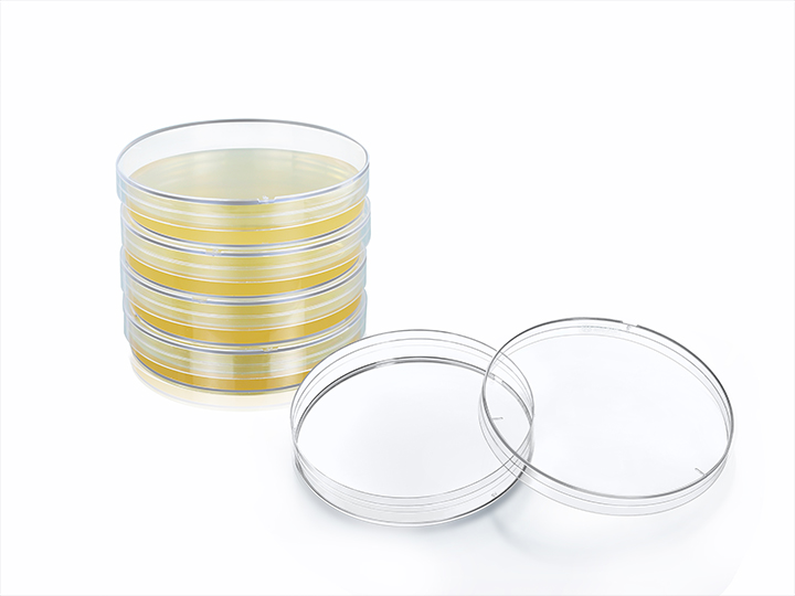 ��ҳ720��540 ����3.jpg