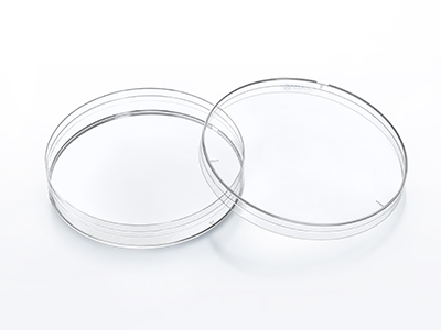 �������ʵľ۱���ϩ�Ƴ���������������ȳ������������ײ�ƽ�������