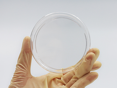 ͸���ȸ��������������������Ӳ�