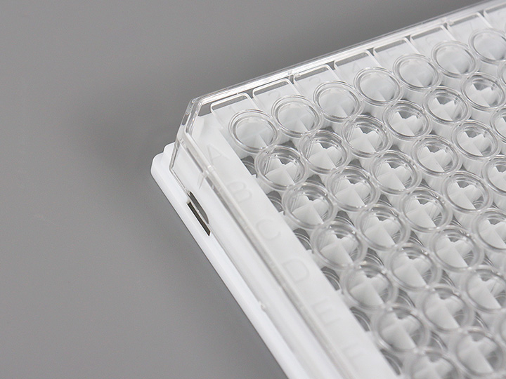 ��ҳ720��540 ����2.jpg