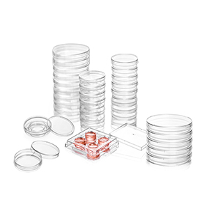 ���Ŀ�������,������ֳ������,��̥������,ʱ��������,IVF