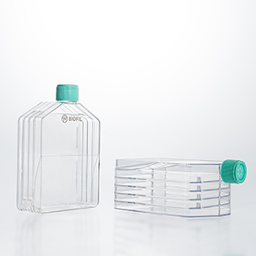 ���ϸ������ƿ,�������ƿ,��������ƿ,�������ƿ