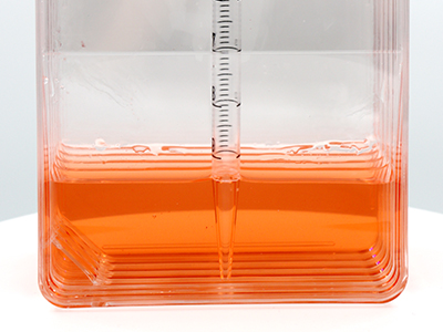 ����10mL��Һ��ֱ����ƿ�ھ���Һ�����ջ���ȡϸ��