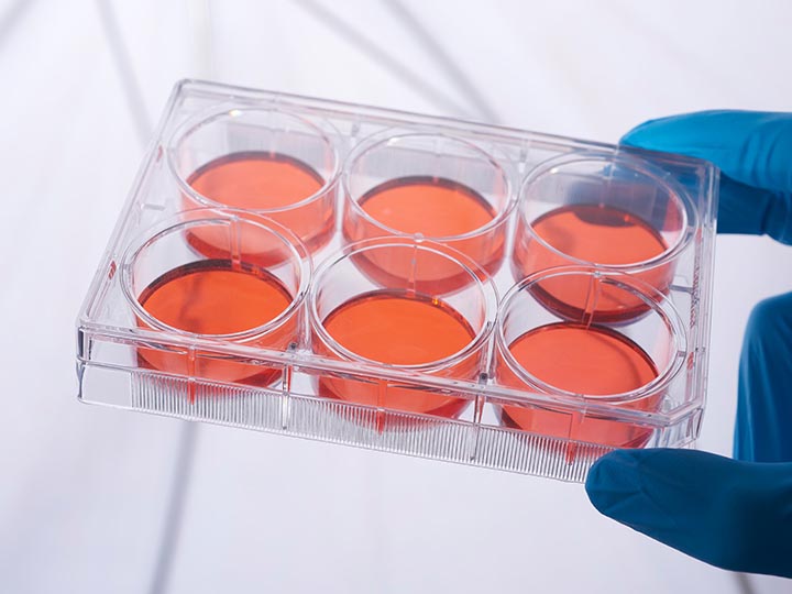 ��ҳ720��540 ����3.jpg