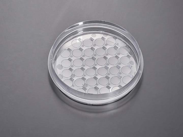 ��ҳ720��540 ����.jpg