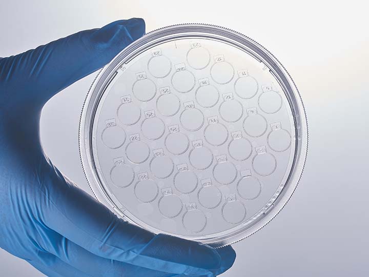 ��ҳ720��540 ����1.jpg