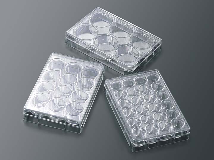 ��ҳ720��540 ����1.jpg