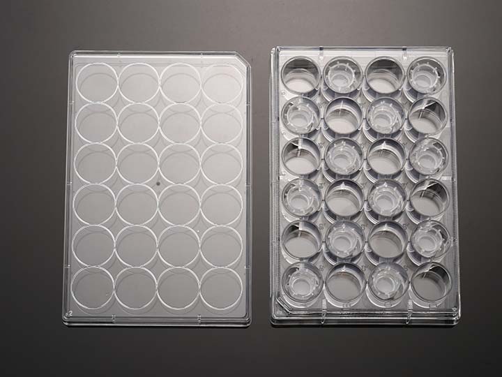 ��ҳ720��540 ����.jpg