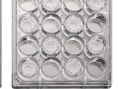 �������������ֿױ�ʶ������������������������ʶ���������������������¼