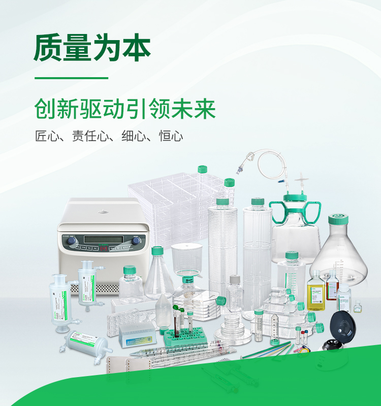 ����Ϊ��