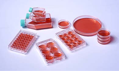 ϸ��������/ƿ/�󳣼�����