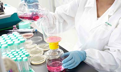 ���ںĲĵ����桢�Ƿ���DNAø��������������RNAø������ԭ��������������