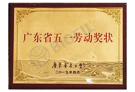 �㶫ʡ��һ�Ͷ���