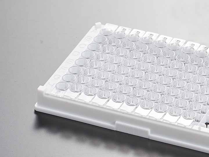 ������Ǯlzyq88(�й�)���޹�˾