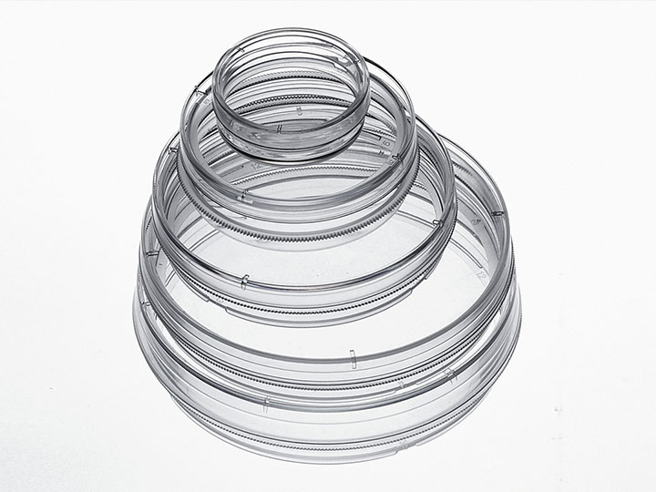 ������Ǯlzyq88(�й�)���޹�˾