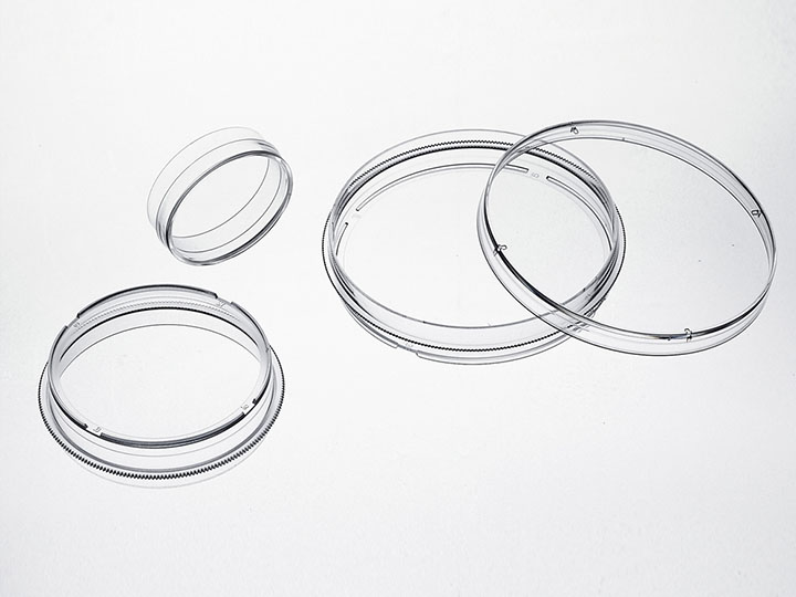 ������Ǯlzyq88(�й�)���޹�˾