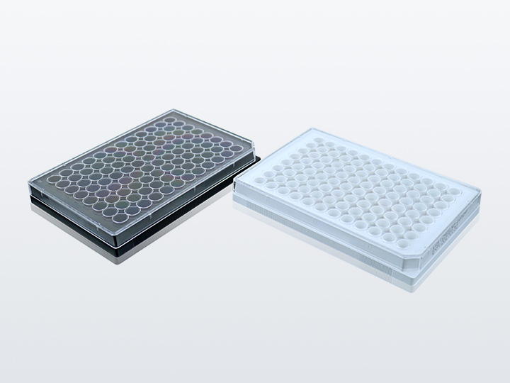 ������Ǯlzyq88(�й�)���޹�˾