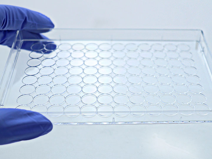 ������Ǯlzyq88(�й�)���޹�˾