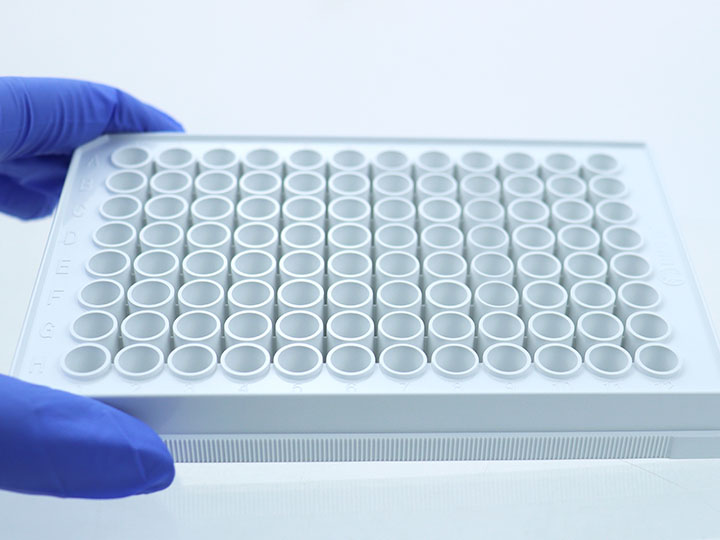 ������Ǯlzyq88(�й�)���޹�˾