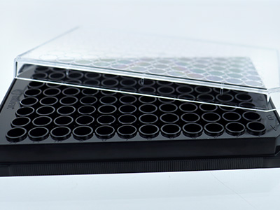 �ױ�͹�� ���������������ɱ���������֯��Ⱦ