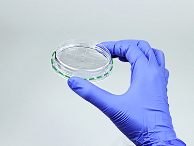 ���̧������س������������������ ������ȡ������������������ȹ̵��Ų��׵�