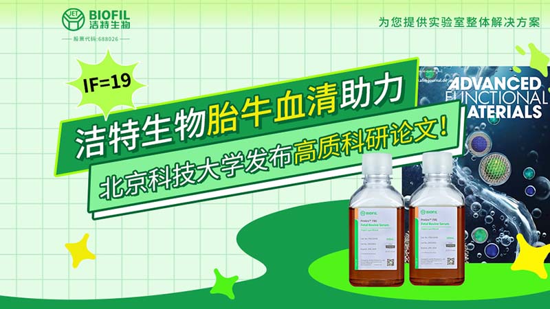 ��������,̥ţѪ��,��������,ϸ������,�����Լ�,����������