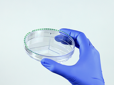 ��Ǳ���ͻ������������������������������ȹ̵���